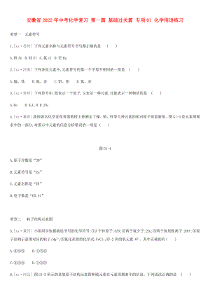 安徽省2022年中考化學(xué)復(fù)習(xí) 第一篇 基礎(chǔ)過(guò)關(guān)篇 專(zhuān)項(xiàng)01 化學(xué)用語(yǔ)練習(xí)