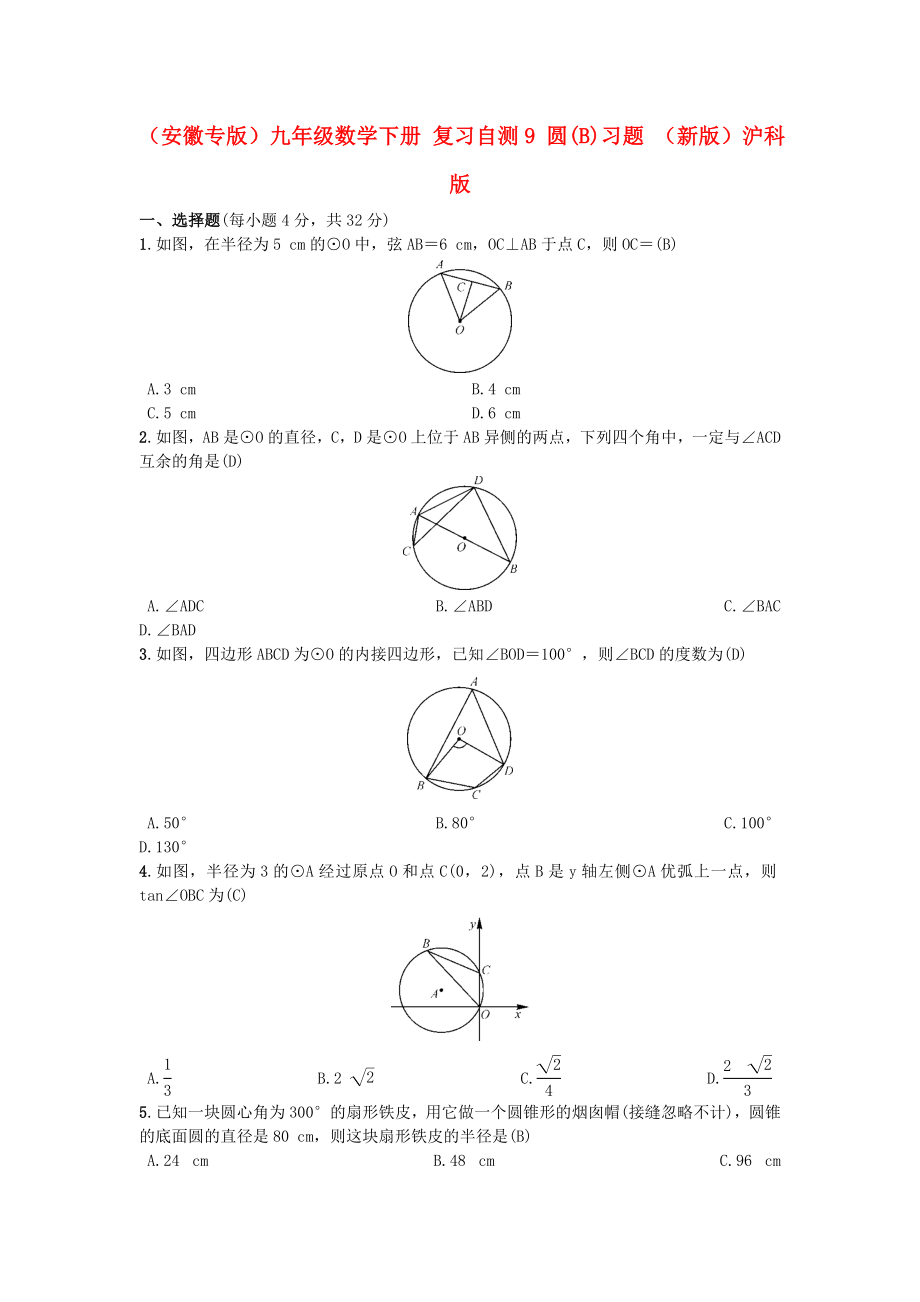 （安徽專版）九年級(jí)數(shù)學(xué)下冊(cè) 復(fù)習(xí)自測(cè)9 圓(B)習(xí)題 （新版）滬科版_第1頁