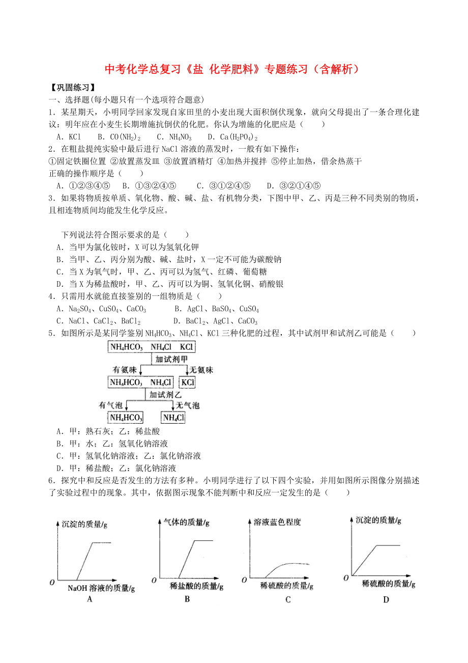 中考化學(xué)總復(fù)習(xí)《鹽 化學(xué)肥料》專題練習(xí)（含解析）_第1頁