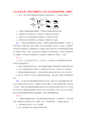 2022高考生物一輪復(fù)習(xí) 配餐作業(yè)19 DNA是主要的遺傳物質(zhì)（含解析）