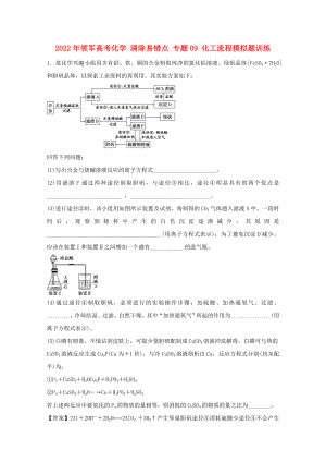 2022年領(lǐng)軍高考化學(xué) 清除易錯(cuò)點(diǎn) 專(zhuān)題09 化工流程模擬題訓(xùn)練