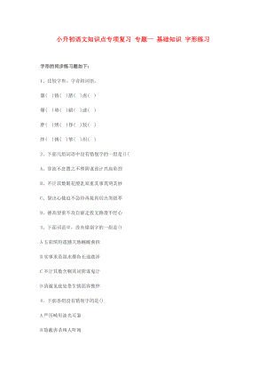 小升初語文知識點專項復(fù)習(xí) 專題一 基礎(chǔ)知識 字形練習(xí)