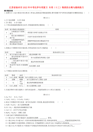 江蘇省徐州市2022年中考化學(xué)專項復(fù)習(xí) 專項（十三）物質(zhì)的分離與提純練習(xí)