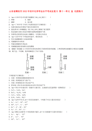 山東省濰坊市2022年初中化學(xué)學(xué)業(yè)水平考試總復(fù)習(xí) 第十一單元 鹽 化肥練習(xí)