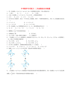 中考數(shù)學(xué)專項復(fù)習(xí) 二次函數(shù)綜合訓(xùn)練題