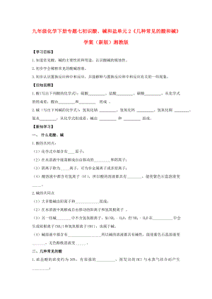 九年級(jí)化學(xué)下冊(cè) 專題七 初識(shí)酸、堿和鹽 單元2《幾種常見的酸和堿》學(xué)案（新版）湘教版