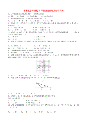 中考數(shù)學(xué)專項(xiàng)復(fù)習(xí) 平面直角坐標(biāo)系綜合訓(xùn)練