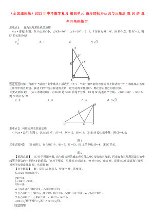 （全國(guó)通用版）2022年中考數(shù)學(xué)復(fù)習(xí) 第四單元 圖形的初步認(rèn)識(shí)與三角形 第16講 直角三角形練習(xí)