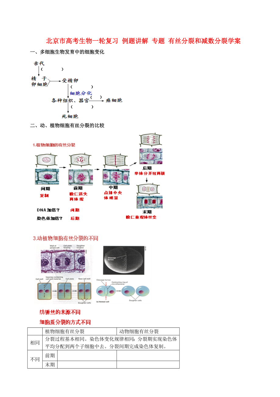 北京市高考生物一輪復習 例題講解 專題 有絲分裂和減數分裂學案_第1頁