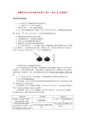 安徽省2022年中考化學(xué)總復(fù)習(xí) 第十一單元 鹽 化肥練習(xí)