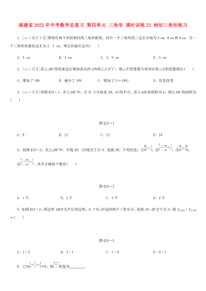 福建省2022年中考數(shù)學(xué)總復(fù)習(xí) 第四單元 三角形 課時訓(xùn)練23 相似三角形練習(xí)