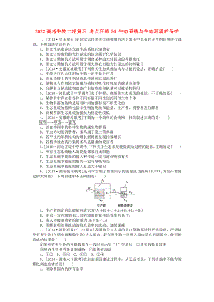 2022高考生物二輪復(fù)習(xí) 考點(diǎn)狂練24 生態(tài)系統(tǒng)與生態(tài)環(huán)境的保護(hù)