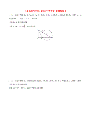 （山東濱州專用）2022中考數(shù)學 要題加練2
