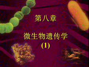 天津工业大学考研微生物课件19