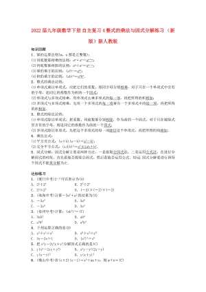 2022屆九年級數(shù)學下冊 自主復習4 整式的乘法與因式分解練習 （新版）新人教版