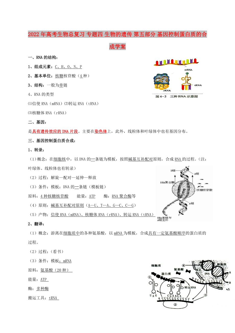 2022年高考生物總復(fù)習(xí) 專題四 生物的遺傳 第五部分 基因控制蛋白質(zhì)的合成學(xué)案_第1頁(yè)