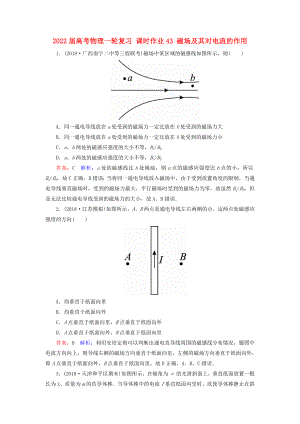 2022屆高考物理一輪復(fù)習(xí) 課時(shí)作業(yè)43 磁場及其對(duì)電流的作用