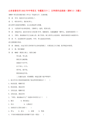 山東省泰安市2022年中考語文 專題復(fù)習(xí)十二 文學(xué)類作品閱讀（課時3）習(xí)題2