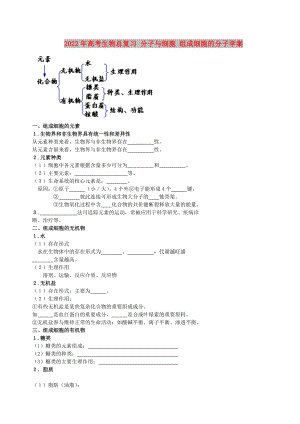 2022年高考生物總復(fù)習(xí) 分子與細胞 組成細胞的分子學(xué)案