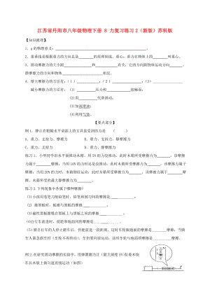 江蘇省丹陽市八年級物理下冊 8 力復(fù)習(xí)練習(xí)2（新版）蘇科版