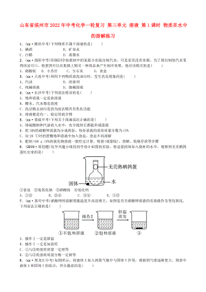 山東省濱州市2022年中考化學(xué)一輪復(fù)習(xí) 第三單元 溶液 第1課時(shí) 物質(zhì)在水中的溶解練習(xí)