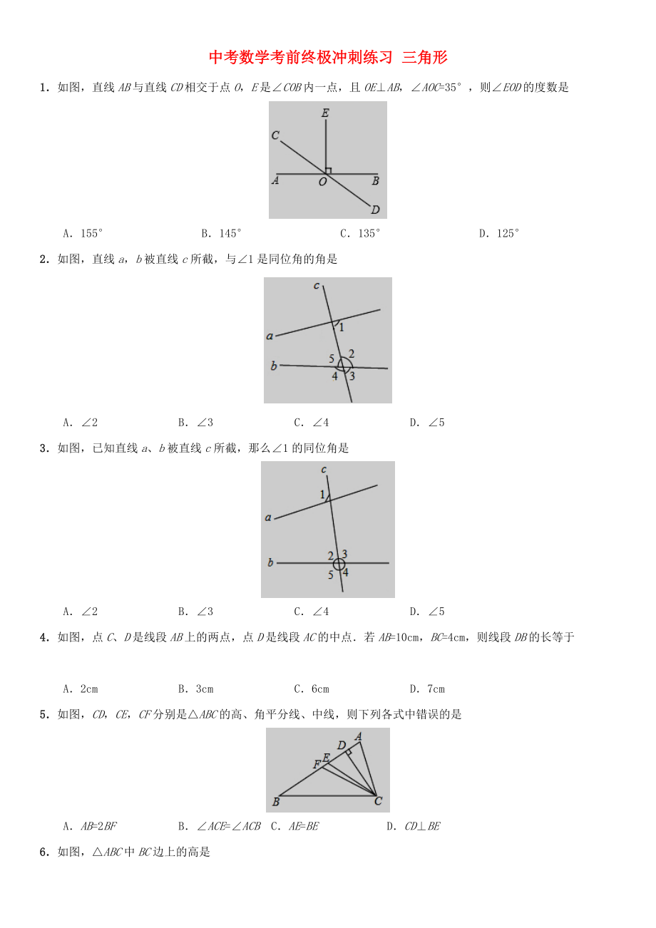 中考數(shù)學(xué)考前終極沖刺練習(xí) 三角形_第1頁