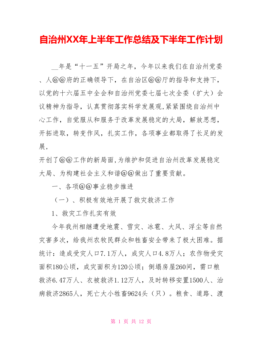 自治州XX年上半年工作总结及下半年工作计划_第1页