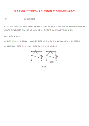 湖南省2022年中考數(shù)學(xué)總復(fù)習(xí) 專(zhuān)題訓(xùn)練07 幾何動(dòng)點(diǎn)探究題練習(xí)