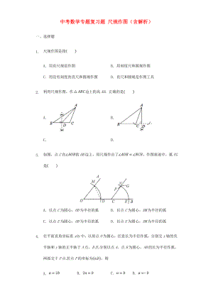 中考數(shù)學專題復習題 尺規(guī)作圖（含解析）