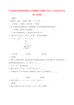 江蘇省淮安市淮陰區(qū)凌橋鄉(xiāng)九年級數(shù)學(xué)下學(xué)期復(fù)習(xí)作業(yè)17 幾何初步及平行線、相交線