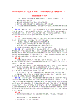 2022屆高考生物二輪復(fù)習(xí) 專題二 生命系統(tǒng)的代謝 課時作業(yè)（三）細胞內(nèi)的酶和ATP