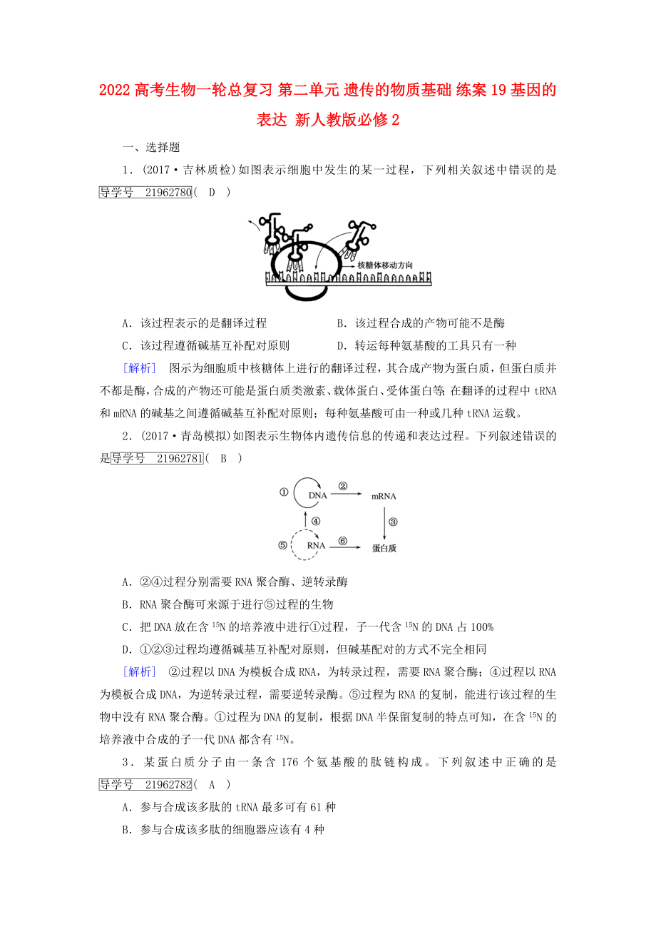 2022高考生物一輪總復(fù)習(xí) 第二單元 遺傳的物質(zhì)基礎(chǔ) 練案19 基因的表達(dá) 新人教版必修2_第1頁