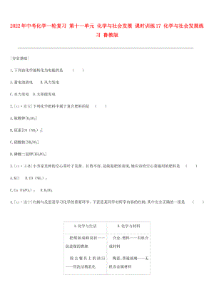 2022年中考化學(xué)一輪復(fù)習(xí) 第十一單元 化學(xué)與社會發(fā)展 課時(shí)訓(xùn)練17 化學(xué)與社會發(fā)展練習(xí) 魯教版