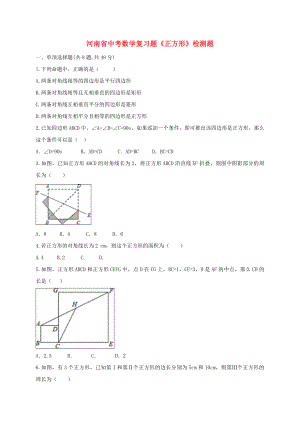 河南省中考数学复习题《正方形》检测题