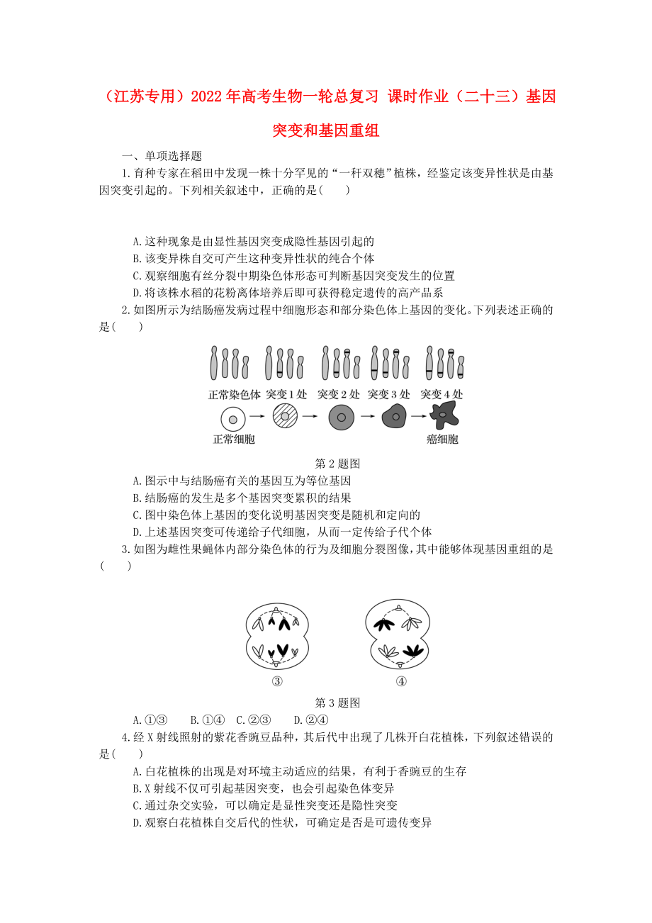 （江蘇專用）2022年高考生物一輪總復(fù)習(xí) 課時(shí)作業(yè)（二十三）基因突變和基因重組_第1頁