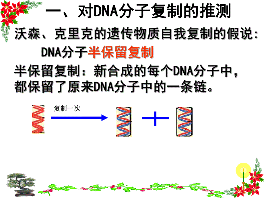 DNA分子的复制_第1页