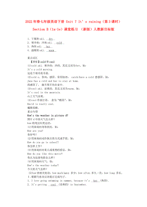 2022年春七年級(jí)英語(yǔ)下冊(cè) Unit 7 It’s raining（第3課時(shí)）Section B（1a-1e）課堂練習(xí) （新版）人教新目標(biāo)版