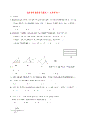 甘肅省中考數(shù)學(xué)專題復(fù)習(xí) 三角形練習(xí)