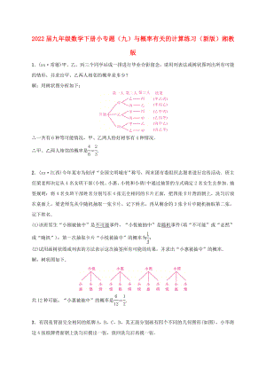 2022屆九年級(jí)數(shù)學(xué)下冊(cè) 小專(zhuān)題（九）與概率有關(guān)的計(jì)算練習(xí) （新版）湘教版