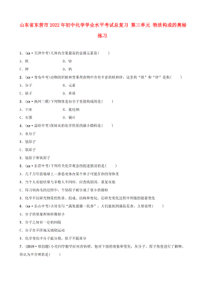 山東省東營(yíng)市2022年初中化學(xué)學(xué)業(yè)水平考試總復(fù)習(xí) 第三單元 物質(zhì)構(gòu)成的奧秘練習(xí)