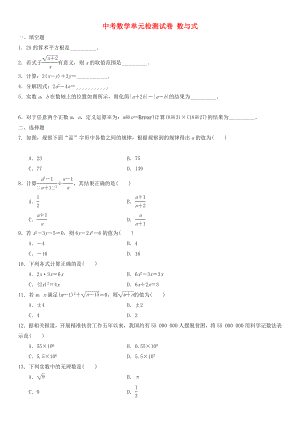 中考數(shù)學單元檢測試卷 數(shù)與式