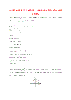 2022屆九年級數(shù)學(xué)下冊 小專題（四）二次函數(shù)與幾何圖形綜合練習(xí) （新版）湘教版