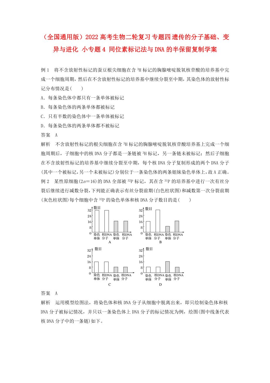 （全國通用版）2022高考生物二輪復(fù)習(xí) 專題四 遺傳的分子基礎(chǔ)、變異與進化 小專題4 同位素標(biāo)記法與DNA的半保留復(fù)制學(xué)案_第1頁