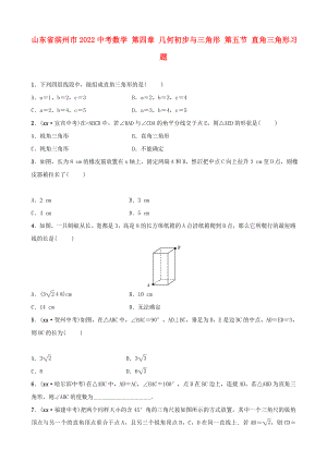 山東省濱州市2022中考數(shù)學(xué) 第四章 幾何初步與三角形 第五節(jié) 直角三角形習(xí)題