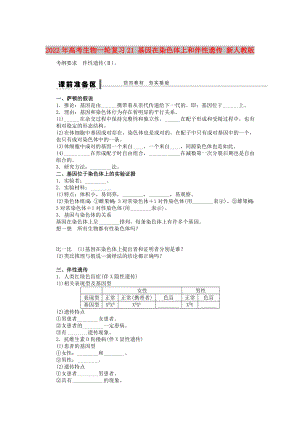 2022年高考生物一輪復(fù)習(xí)21 基因在染色體上和伴性遺傳 新人教版