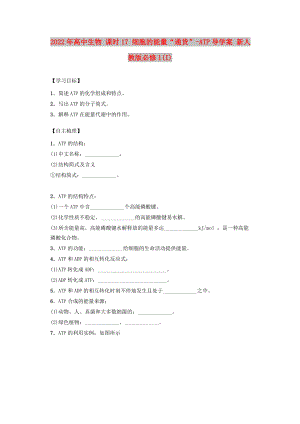 2022年高中生物 課時(shí)17 細(xì)胞的能量“通貨”-ATP導(dǎo)學(xué)案 新人教版必修1(I)