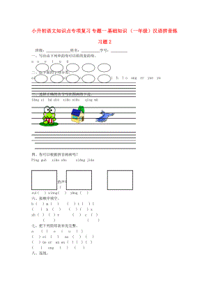 小升初語文知識點(diǎn)專項(xiàng)復(fù)習(xí) 專題一 基礎(chǔ)知識 （一年級）漢語拼音練習(xí)題2