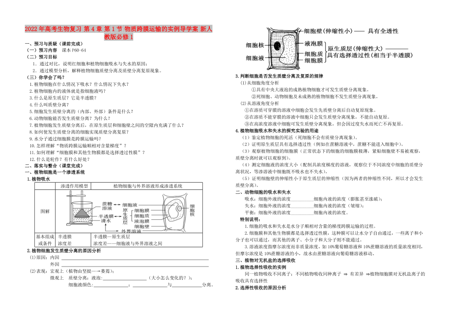 2022年高考生物復(fù)習(xí) 第4章 第1節(jié) 物質(zhì)跨膜運(yùn)輸?shù)膶?shí)例導(dǎo)學(xué)案 新人教版必修1_第1頁