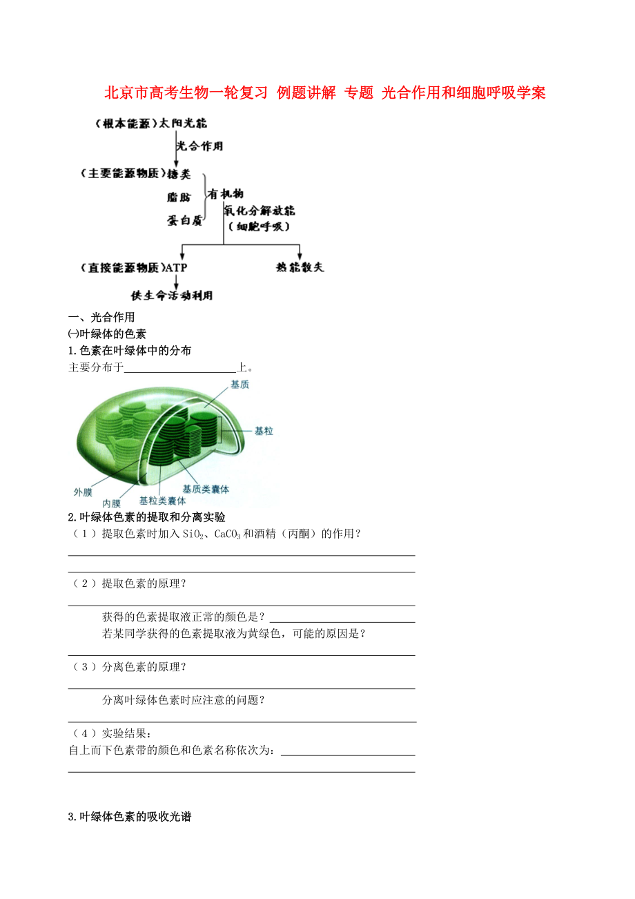 北京市高考生物一轮复习 例题讲解 专题 光合作用和细胞呼吸学案_第1页