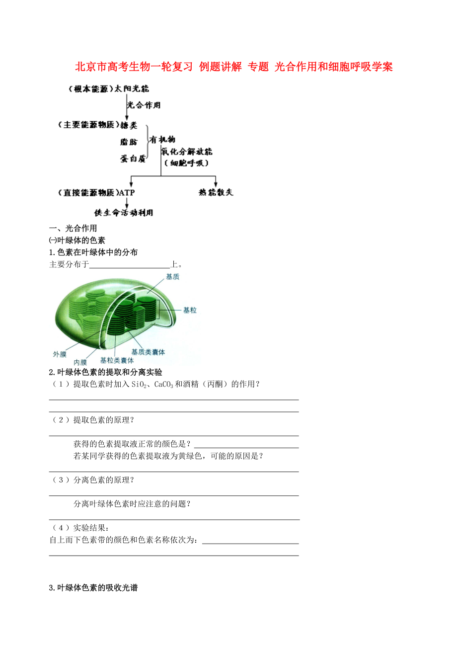 北京市高考生物一輪復(fù)習(xí) 例題講解 專題 光合作用和細(xì)胞呼吸學(xué)案_第1頁(yè)